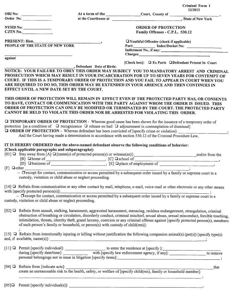 Image 1 within 22 CRR-NY D VI Criminal Form 1